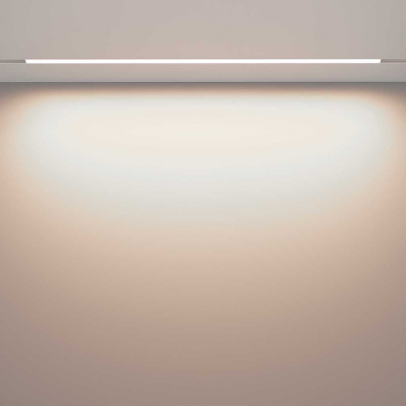 Трековый светодиодный светильник Maytoni Technical Exility Basis TR030-2-30W4K-W