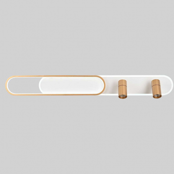 Потолочная светодиодная люстра Favourite Planar 4075-2C