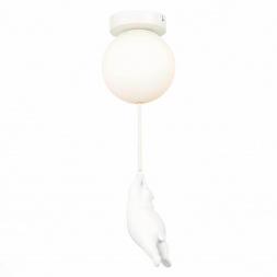 Потолочный светильник Evoluce MODENA SLE115402-01