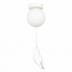 Потолочный светильник Evoluce MODENA SLE115402-01