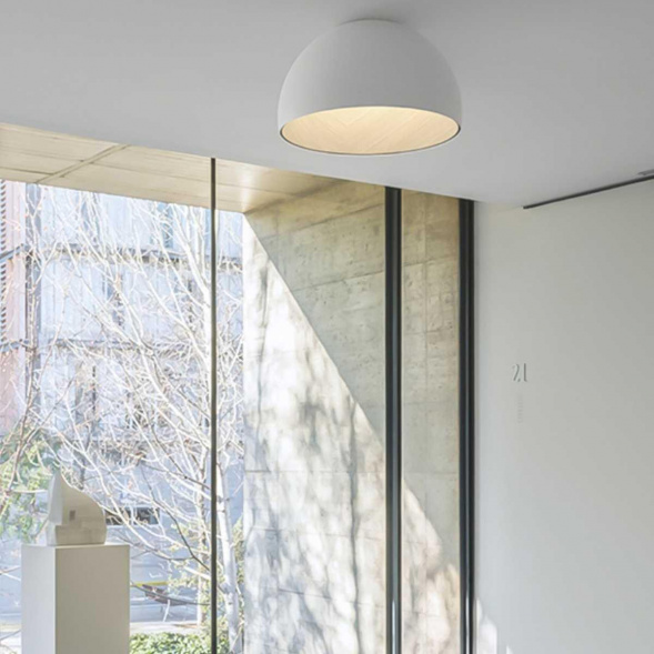 Потолочный светодиодный светильник Imperium Loft Bara 223999-23