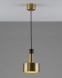 Светильник подвесной Moderli Goldy V11317-1P
