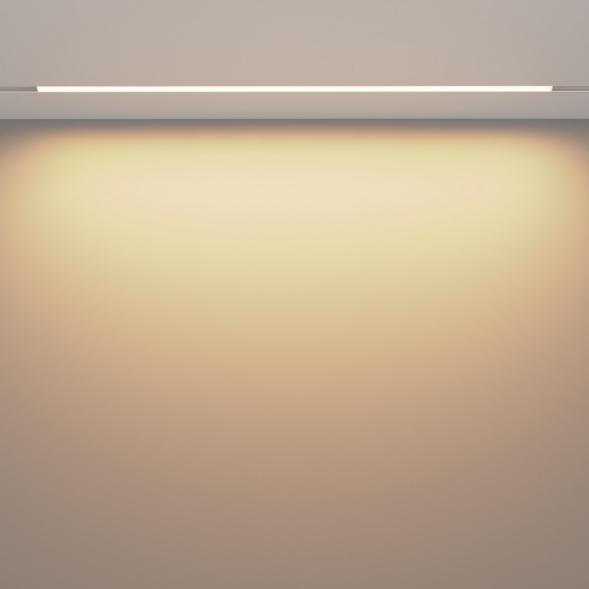 Трековый светодиодный светильник Maytoni Technical Exility Basis TR030-4-30W3K-WW-DS-W