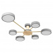 Потолочная светодиодная люстра Loft IT Sunrise 10316/6 Grey