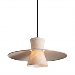 Подвесной светильник Freya Fly FR5489PL-01BG