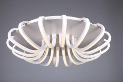 Потолочная светодиодная люстра Omnilux OML-48107-112