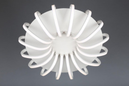 Потолочная светодиодная люстра Omnilux OML-48107-112