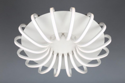 Потолочная светодиодная люстра Omnilux OML-48107-112