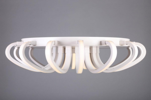 Потолочная светодиодная люстра Omnilux OML-48107-112