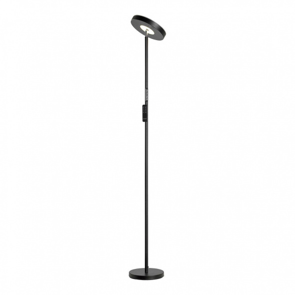 Торшер Lussole Carmel LSP-0901-SE