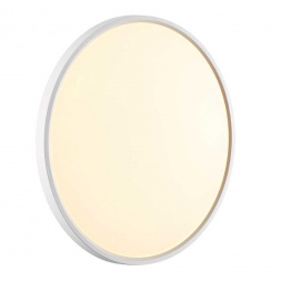 Настенно-потолочный светодиодный светильник Sonex Mitra Alfa White 7659/40L