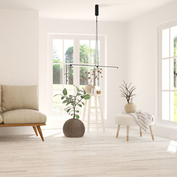 Подвесной светодиодный светильник Maytoni Supersymmetry P096PL-L11BK