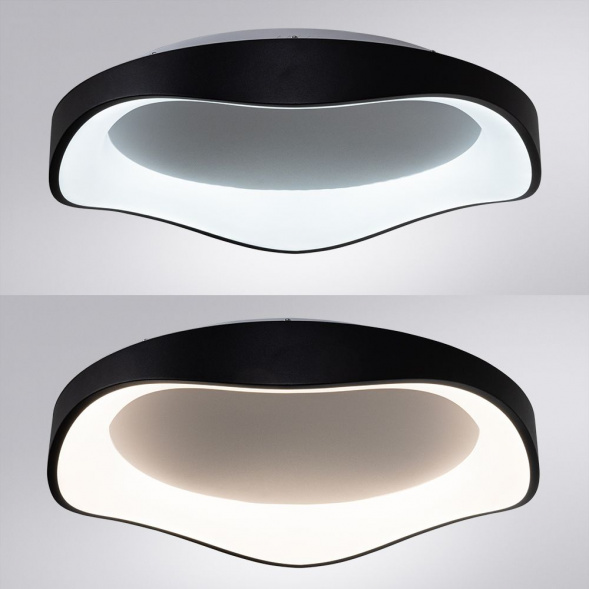 Потолочный светодиодный светильник Arte Lamp Ankaa A3085PL-56BK