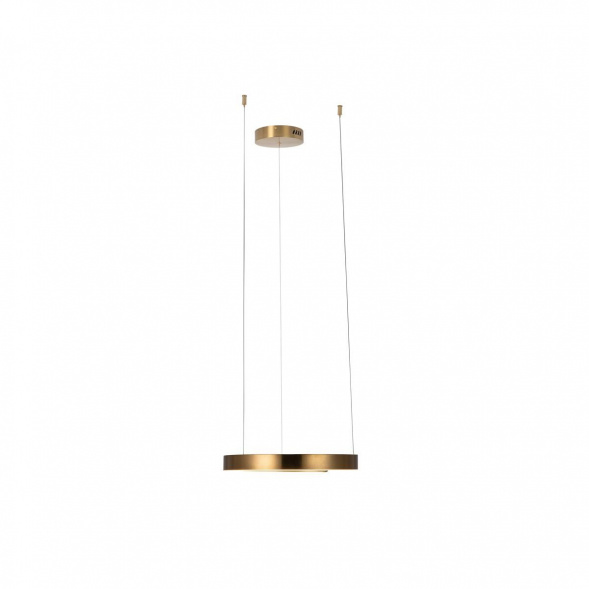 Подвесной светодиодный светильник Loft IT Ring 10013S