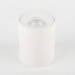 Потолочный светильник ЭРА OL1 GU10 WH Б0041503