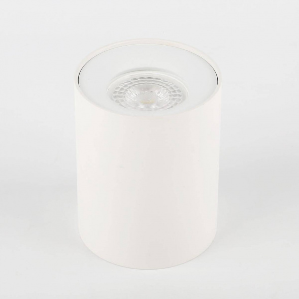 Потолочный светильник ЭРА OL1 GU10 WH Б0041503