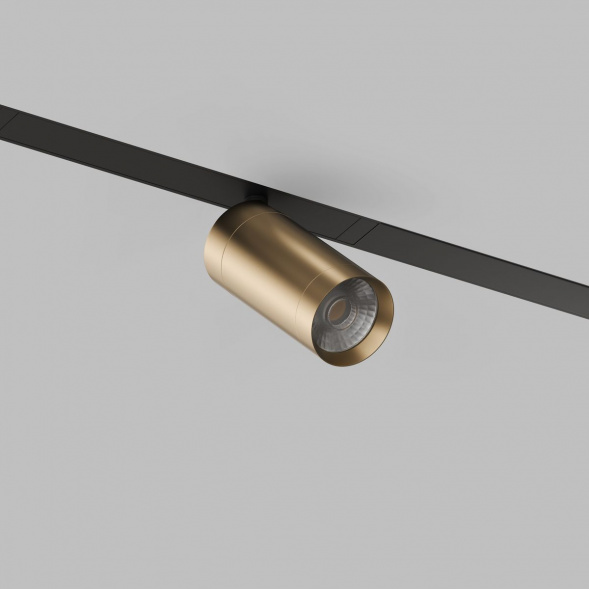 Трековый светодиодный светильник Denkirs Smart Spot DK8010-BG