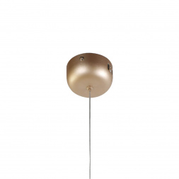 Подвесной светодиодный светильник Favourite Tibia 2217-1P