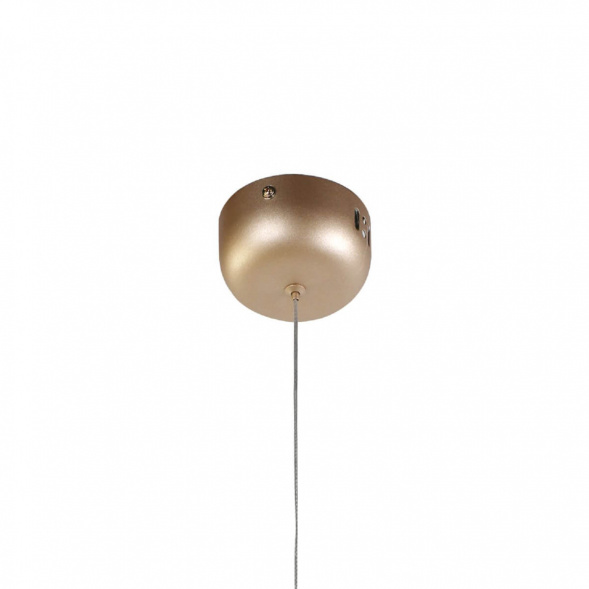 Подвесной светодиодный светильник Favourite Tibia 2217-1P