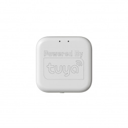 WIFI конвертер Denkirs Smart Control DK7400-WF