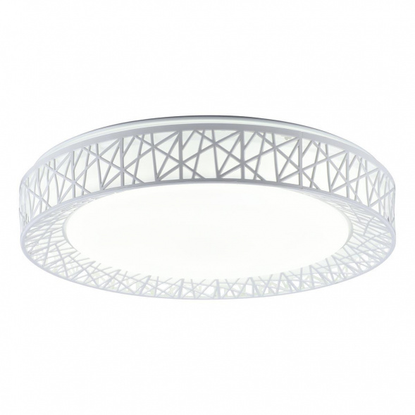 Потолочный светодиодный светильник Toplight Diana TL1204X-72WH