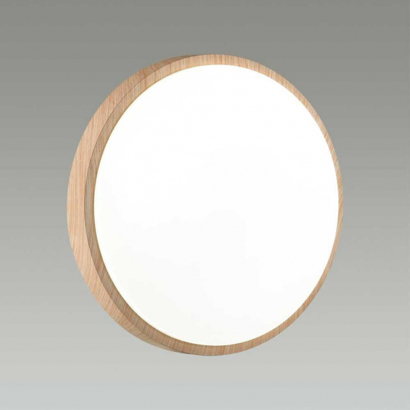 Настенно-потолочный светодиодный светильник Sonex Losta 7607/EL