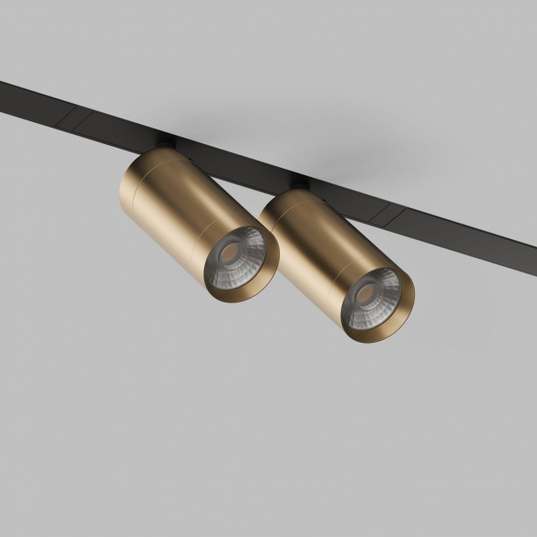 Трековый светодиодный светильник Denkirs Smart Spot DK8012-BG