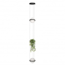 Подвесной светодиодный светильник Loft IT Jardin 10121/2P Dark grey