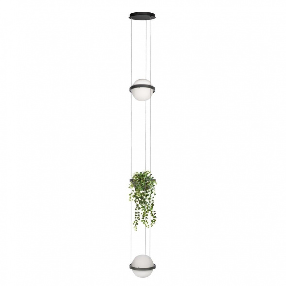 Подвесной светодиодный светильник Loft IT Jardin 10121/2P Dark grey