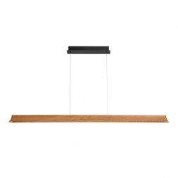 Подвесной светодиодный светильник Odeon Light Hightech Estar 7019/38LB