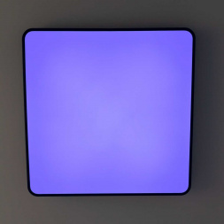 Потолочный светодиодный светильник с пультом ДУ Citilux Купер RGB Черный CL724K105G1
