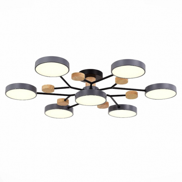 Потолочная светодиодная люстра Evoluce FAEMA SLE6006-702-07