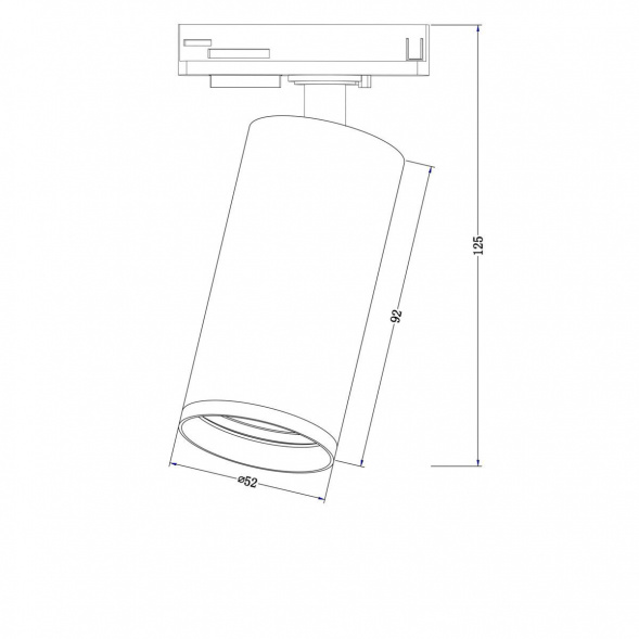 Трековый светильник Maytoni Track Lamps TR020-1-GU10-W