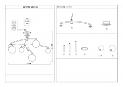 Потолочная люстра ST Luce Sembrare SL1208.302.06