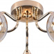 Потолочная люстра Reluce 01227-0.3-05 FGD