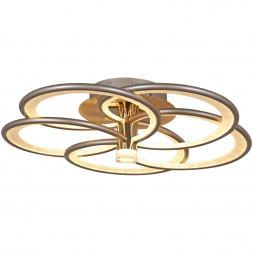 Люстра Reluce 09246-0.3-5S Champaign silver