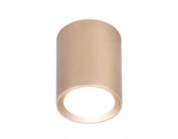Потолочный светильник Ambrella light Techno Spot TN216
