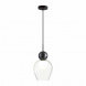 Подвесной светильник Odeon Light Blacky 5023/1