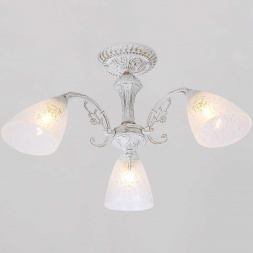 Потолочный светильник Reluce 74430-0.3-03