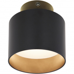 Потолочный светодиодный светильник Globo Jenny 12015B