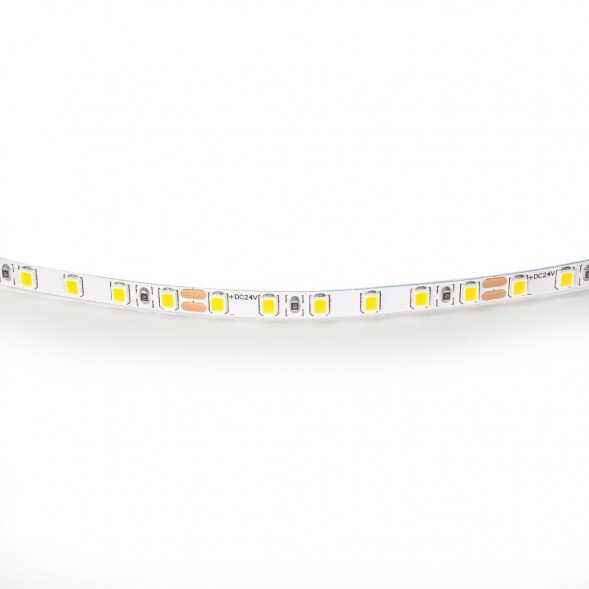 Светодиодная лента Lightstar 12W/m 120LED/m холодный белый 5M 420505