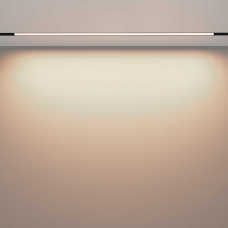 Трековый светодиодный светильник Maytoni Technical Exility Basis TR030-2-30W3K-B