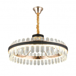 Подвесная светодиодная люстра Aployt Honori APL.027.03.102