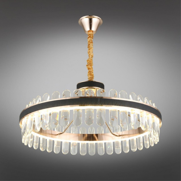 Подвесная светодиодная люстра Aployt Honori APL.027.03.102