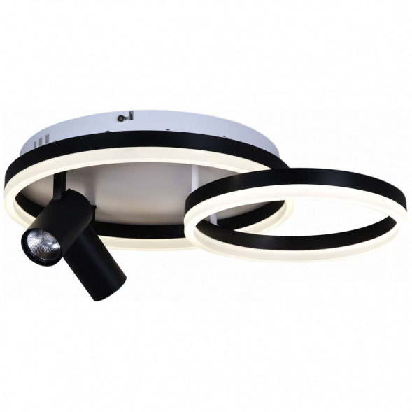 Потолочная светодиодная люстра Reluce 02464-0.3-550