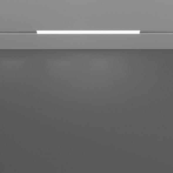 Трековый светодиодный светильник Maytoni Technical Exility Basis TR030-4-12WTW-DD-W