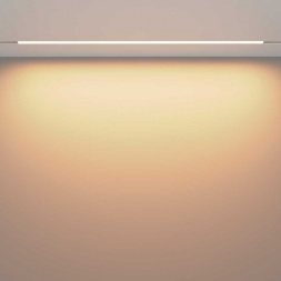 Трековый светодиодный светильник Maytoni Technical Exility Basis TR030-2-30W3K-W