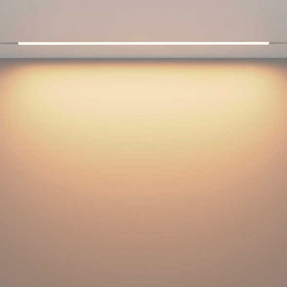 Трековый светодиодный светильник Maytoni Technical Exility Basis TR030-2-30W3K-W