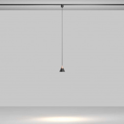 Трековый подвесной светильник Maytoni Technical TR166-1-7W3K-M-B