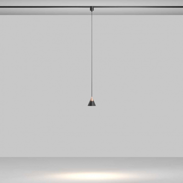 Трековый подвесной светильник Maytoni Technical TR166-1-7W3K-M-B